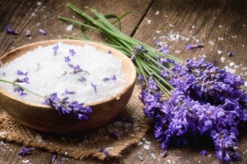 Lavendel for å fjerne dårlig lukt fra madrassen din