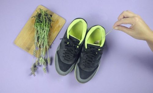 Forhindre stinkende sko med lavendel