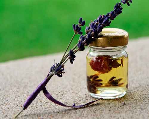 Lavendel er en fantastisk eterisk olje