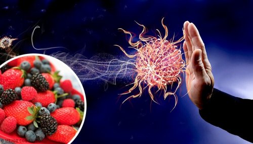 9 matvarer som vil styrke immunforsvaret ditt
