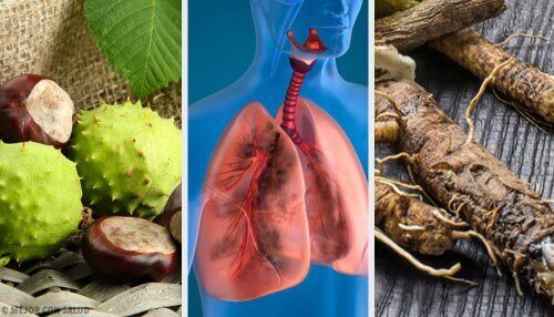 Prøv disse 4 hjemmelagde remediene for å puste bedre og styrke lungene dine