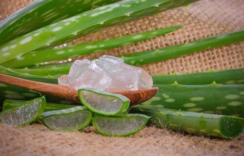 Betent tannkjøtt kan behandles med aloe vera