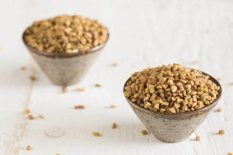 Bukkehornkløverfrø