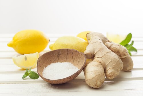 Salt og ingefær