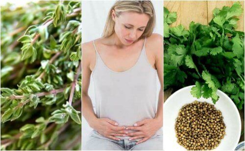 6 karminative urter for å bli kvitt luft i magen