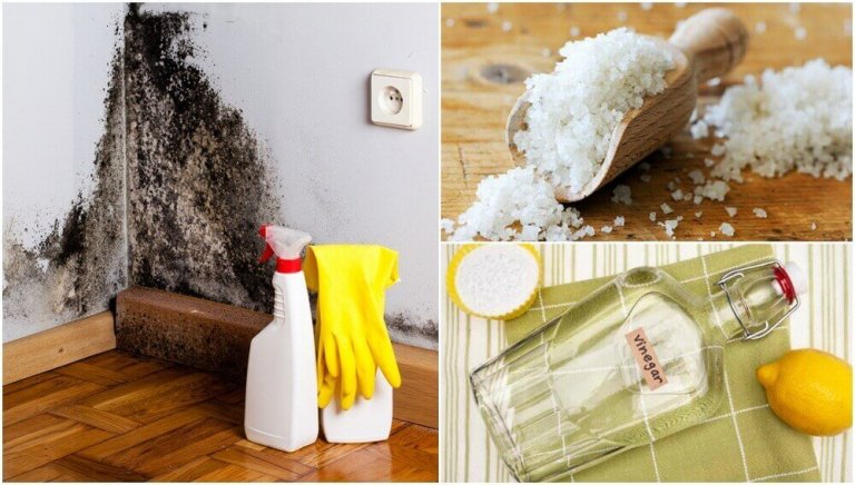 5 effektive alternativer for å fjerne fuktighet i hjemmet ditt