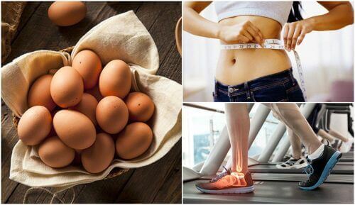 7 grunner til at det er en god idé å legge til egg til kostholdet ditt 7 grunner til at det er en god idé å legge til egg til kostholdet ditt