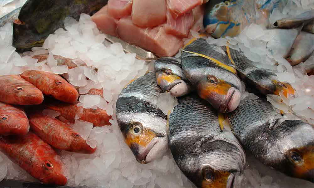 Fisk