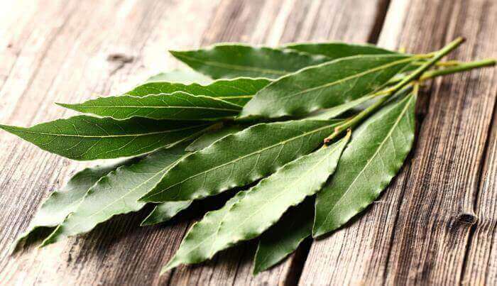 Eukalyptus