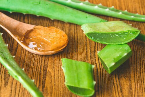 Aloe vera for å revitalisere huden
