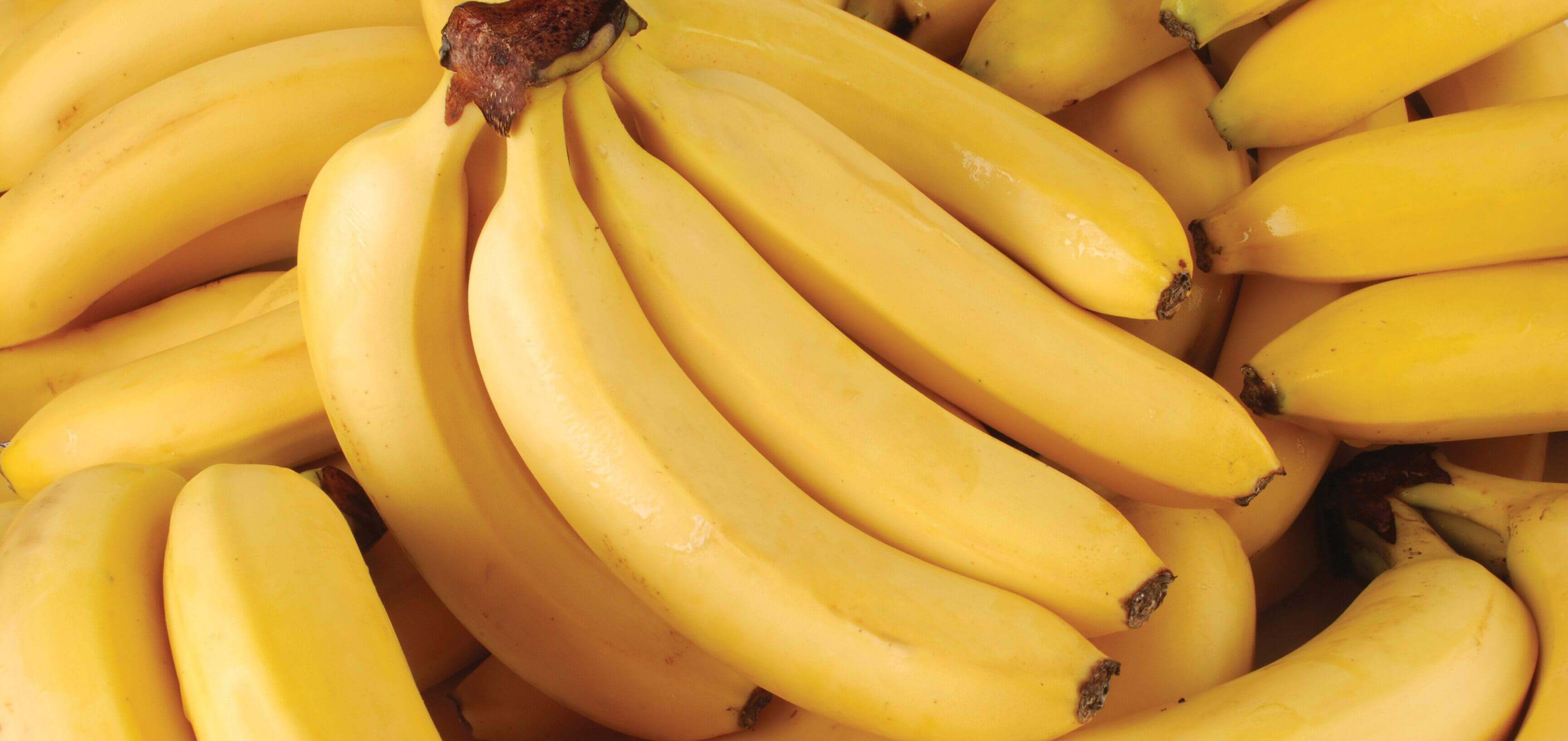 Bananer