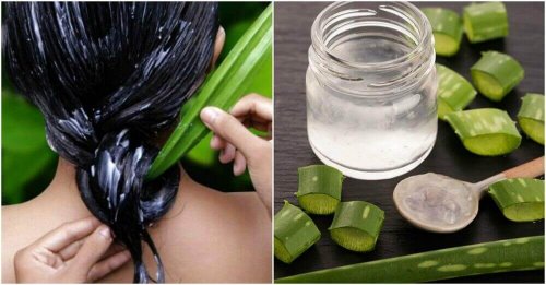 aloe vera til hår aloe vera til hår