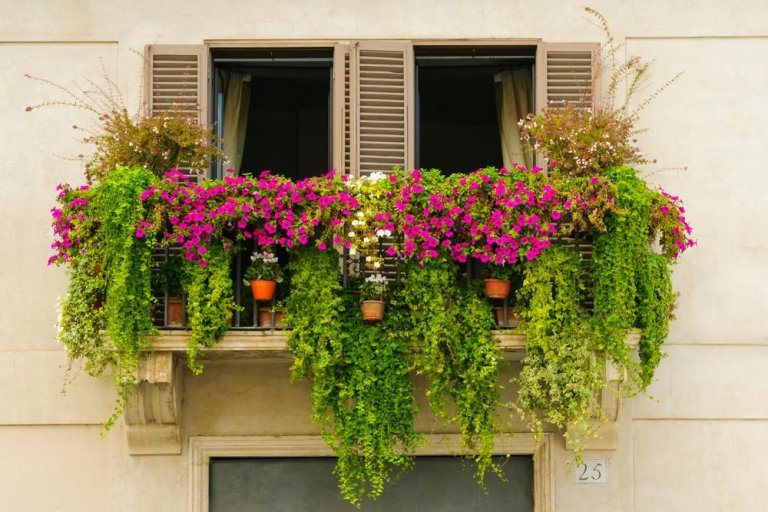 Små urbane hager som bringer harmoni til balkongen din