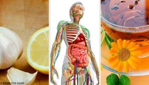 6 naturlige midler for å rense lymfesystemet