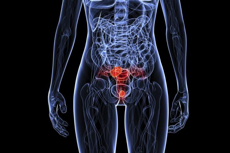 Humant Papillomavirus