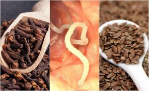 Lær å fjerne parasitter fra kroppen med nellik og linfrø