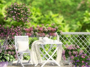 Fem vakre typer blomster til balkongen