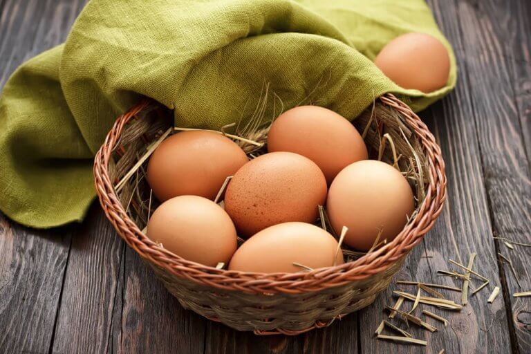 Egg