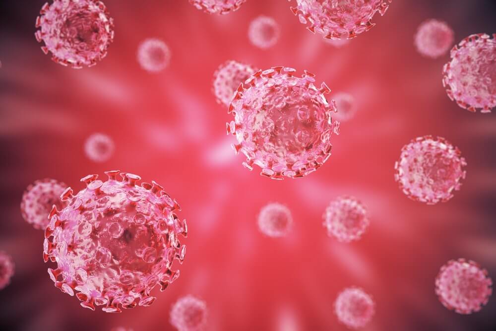 Humant Papillomavirus