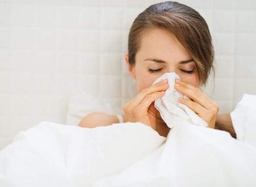 Ingefær mot virus