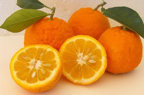 Bitterappelsiner