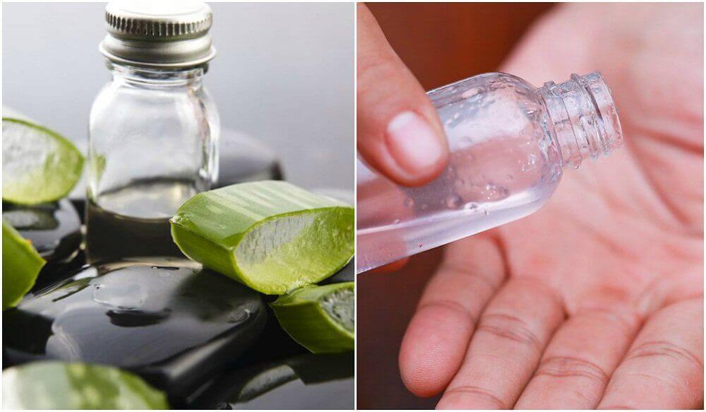 Aloe vera