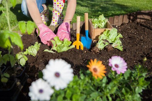 7 måter å bruke eddik på i plante- og hagestell
