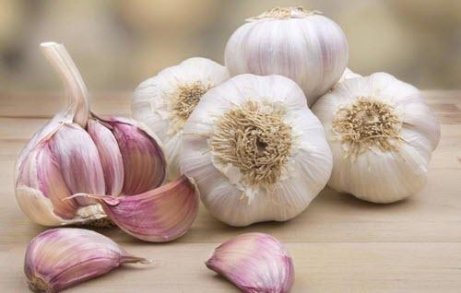 Hvitløk