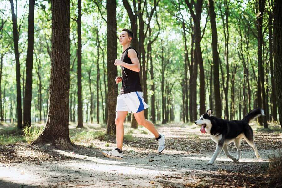 Mann og hund løper i skogen