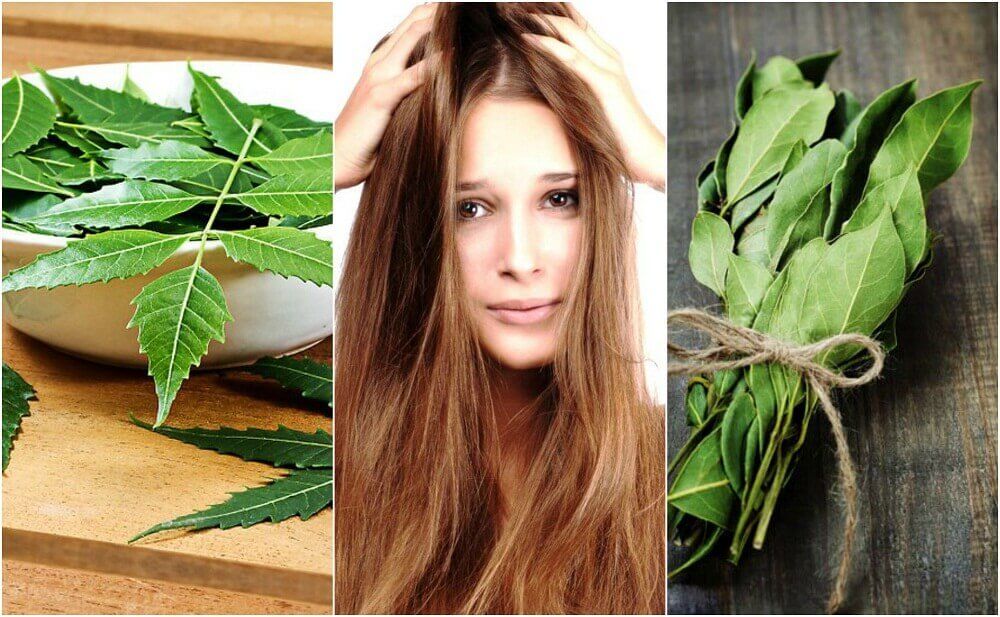 Hårkur med rosmarin