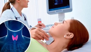 Skjoldkjertelen – dens fysiologi og funksjon