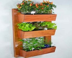 Lær hvordan du kan lage en hengende hage