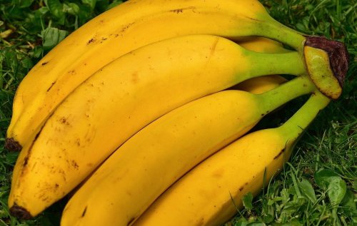 Bananer