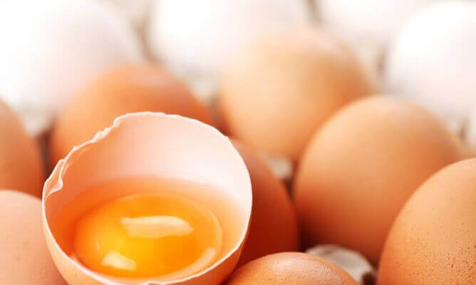 Egg