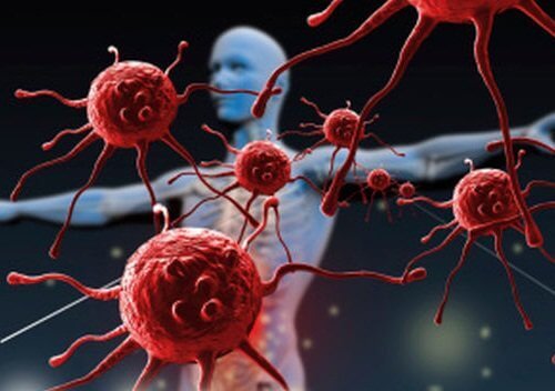Immunforsvar