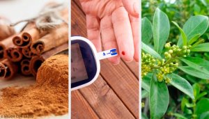 5 fantastiske medisinplanter for å regulere diabetes