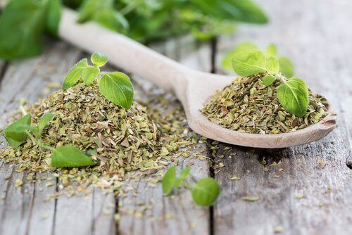 Oregano