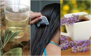 5 urteremedier for å behandle lus naturlig