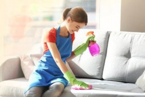 Fem ingredienser for å fjerne støv fra møbler
