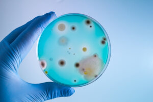 9 farlige bakterier som er skadelige for mennesker