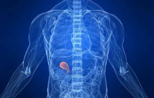 Det beste kostholdet etter fjerning av galleblæren