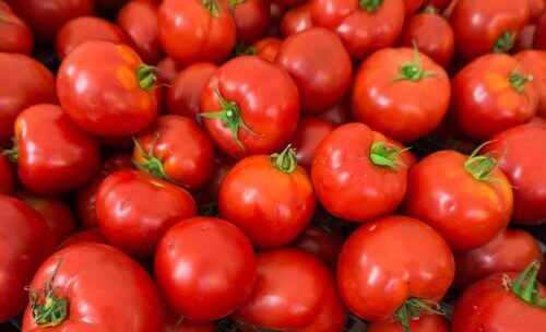 Tomater forbrenner magefett