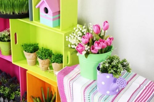 Fargerike planter