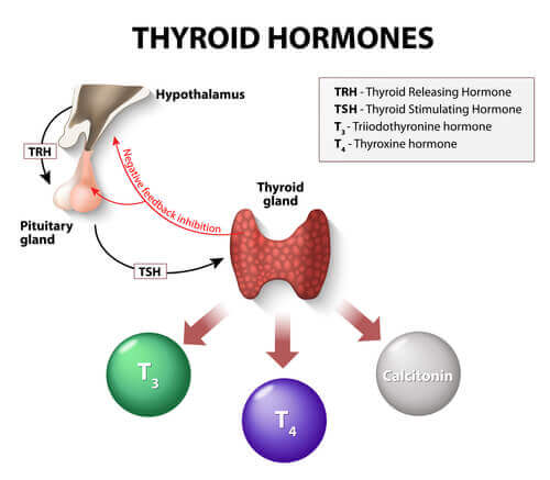 Behandling av hypotyreose