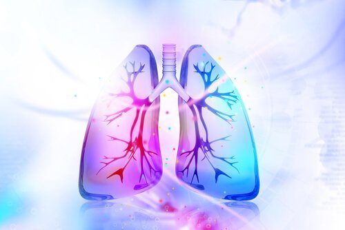 Prøv disse naturlige remediene for å avgifte lungene