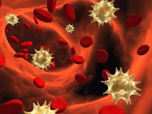 Immunforsvar