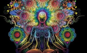 Epifysen: Regulator av syklusene dine og ditt tredje øye