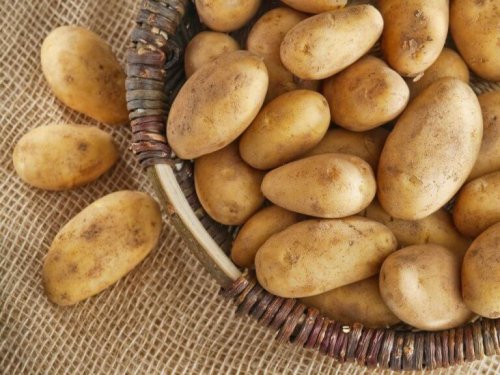 poteter