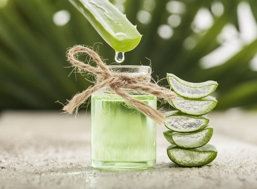 Aloe vera sine helsemessige fordeler.