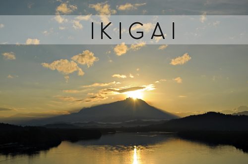 Din Ikigai, den japanske hemmeligheten til et bedre liv